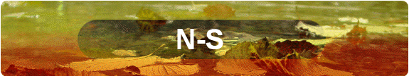 N-S